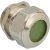 morepic-1