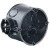 morepic-1