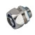 morepic-1