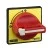 morepic-1
