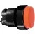 morepic-1