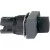 morepic-1