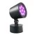 morepic-1