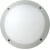 morepic-1