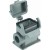 morepic-1