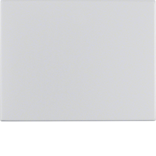 Berker 14057003 Wippe K.5 Alu