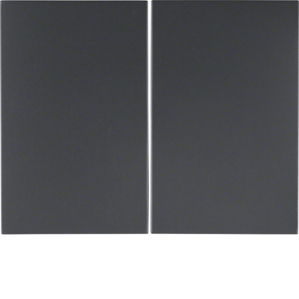 Berker 14357006 Wippe 2-fach K.1 anthrazit matt
