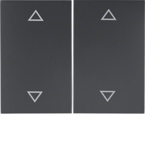 Berker 14357206 Wippe 2-fach mit Aufdruck Symbol Pfeile K.1 anthrazit matt