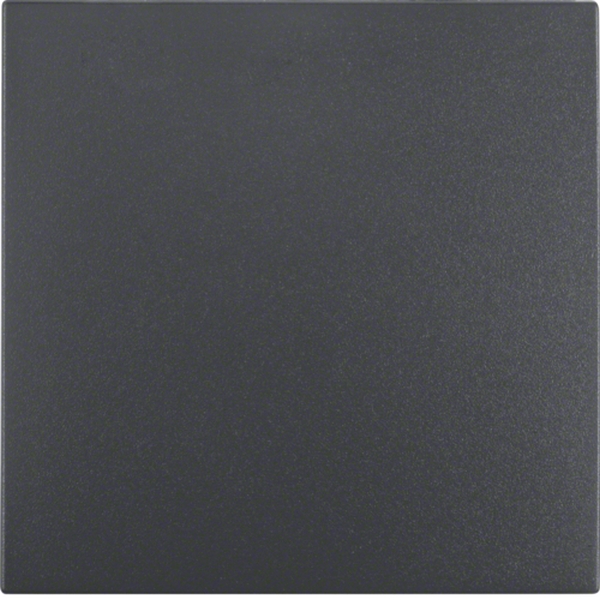 Berker 16201606 Wippe S.1/B.3/B.7 anthrazit matt