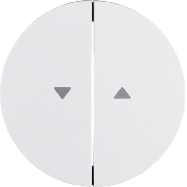 Berker 16252089 Wippe 2-fach mit Aufdruck Symbol Pfeil R.1/R.3 polarweiß glänzend