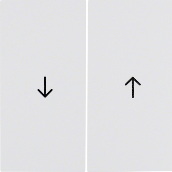 Berker 16258989 Wippe 2-fach mit Aufdruck Symbol Pfeil S.1/B.3/B.7 polarweiß glänzend