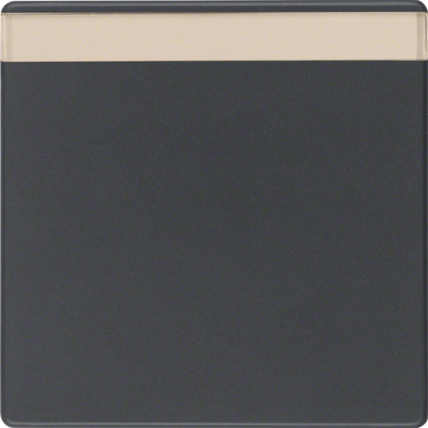 Berker 16266086 Wippe mit Beschriftungsfeld Q.1/Q.3 anthrazit samt