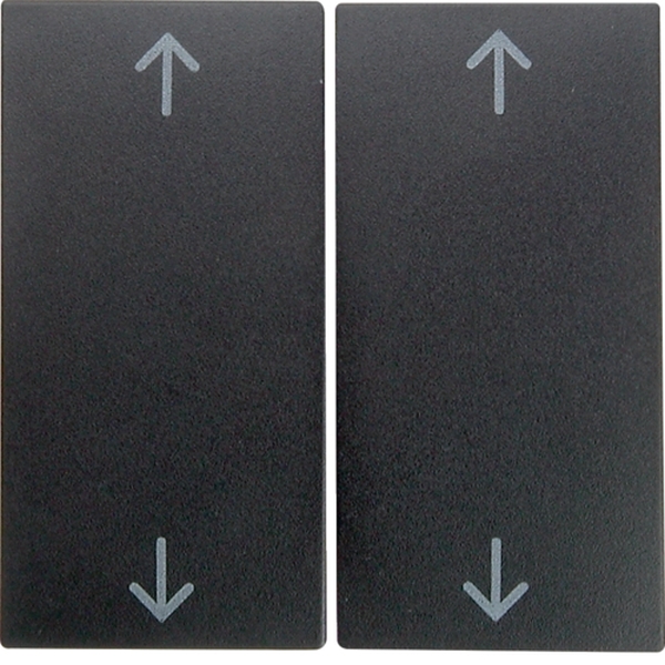 Berker 16441606 Wippe 2-fach mit Aufdruck Symbol Pfeile S.1/B.3/B.7 anthrazit matt
