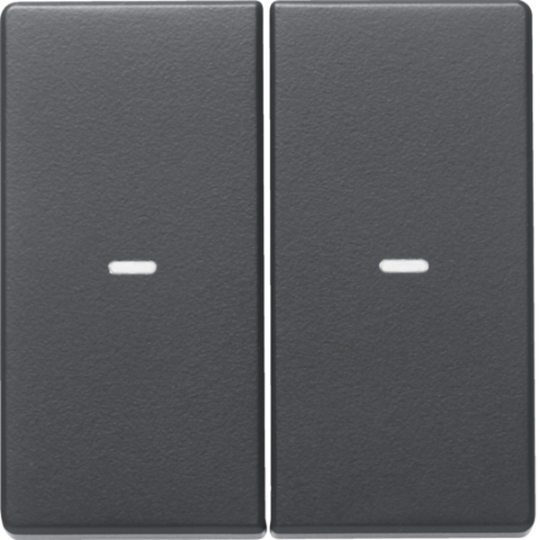 Berker 80960326 Abdeckung für Tastsensor-Modul 2-fach mit Linse Q.1/Q.3 anthrazit samt