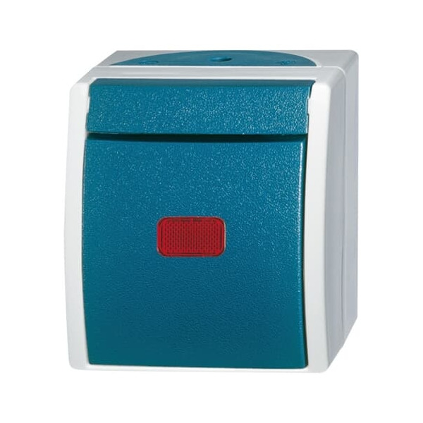 Busch-Jaeger 2601/6 SKW-53 Wippkontrollschalter Aus- und Wechselschaltung grau/blaugrün 2CKA001085A1607