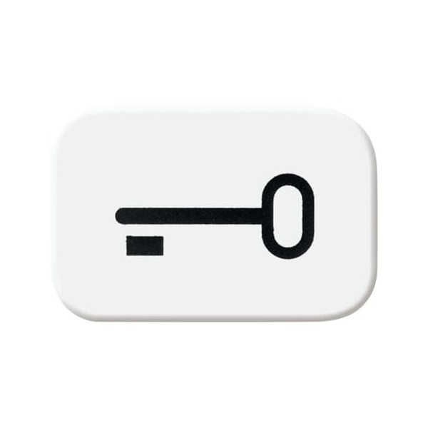 Busch-Jaeger 2525 TR-214 Tastersymbol Schlüssel alpinweiß 2CKA001433A0044