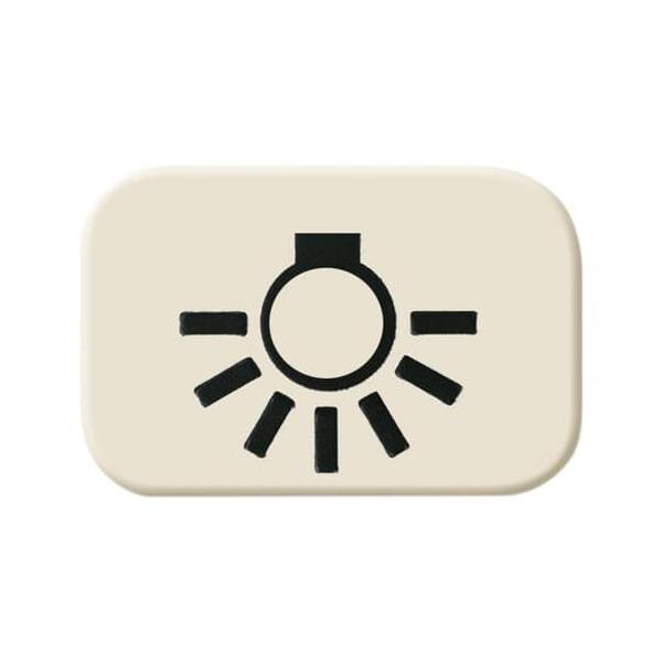 Busch-Jaeger 2525 LI Tastersymbol Licht 2CKA001433A0424