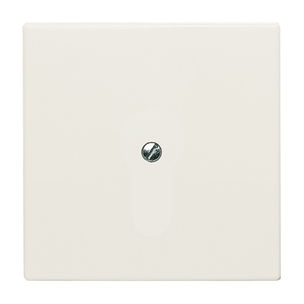 Busch-Jaeger 2138-32 Blindzentralscheibe mit Tragring cremeweiß 2CKA001710A2264