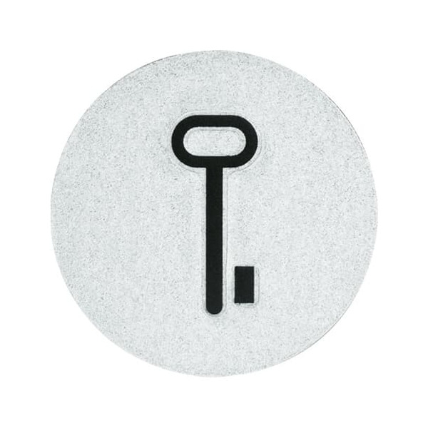 Busch-Jaeger 2144 TR Abtastbares Symbol Schlüssel 2CKA001714A0297