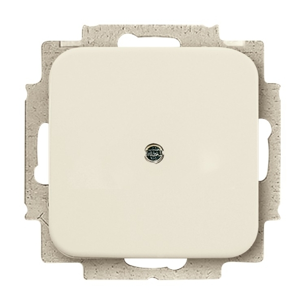 Busch-Jaeger 2538-212 Blindzentralscheibe mit Tragring cremeweiß 2CKA001715A0218
