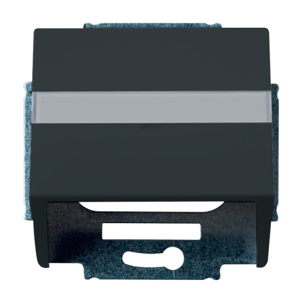 Busch-Jaeger 1758-81 Zentralscheibe mit Tragring anthrazit 2CKA001724A4253