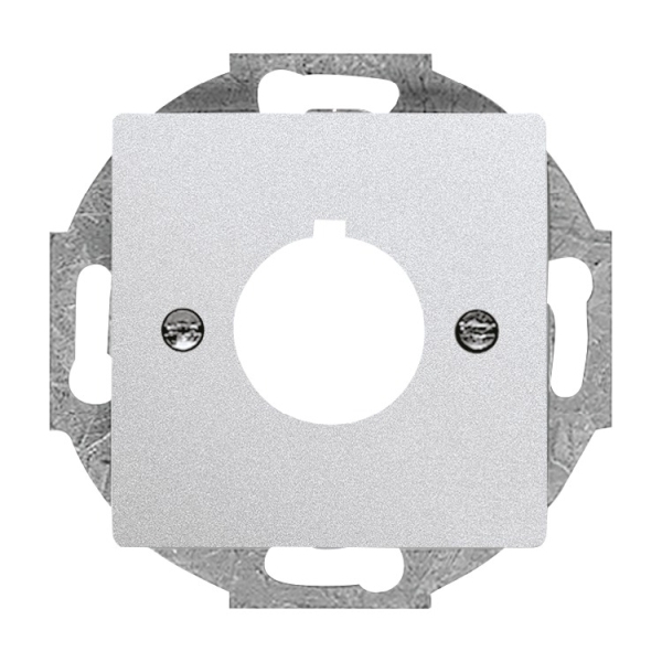 Busch-Jaeger 2533-83 Zentralscheibe mit Tragring alusilber 2CKA001724A4261