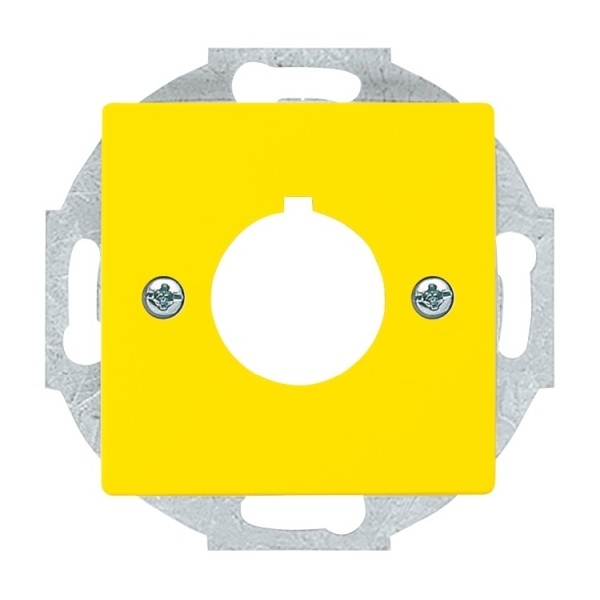 Busch-Jaeger 2533-82-15 Zentralscheibe mit Tragring gelb 2CKA001724A4382