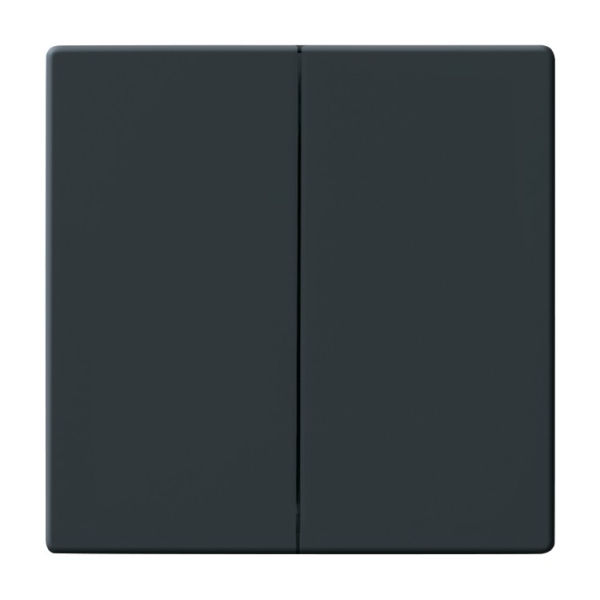 Busch-Jaeger 1785-81 Wippe Serienschalter anthrazit 2CKA001751A2930