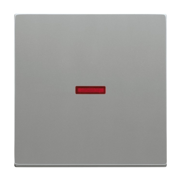 Busch-Jaeger 1789-803 Wippe mit kleiner roter Kalotte graumetallic 2CKA001751A3013