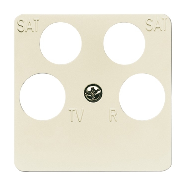 Busch-Jaeger 1743/10-04-212 Zentralscheibe 50 x 50 mm cremeweiß 2CKA001753A8634