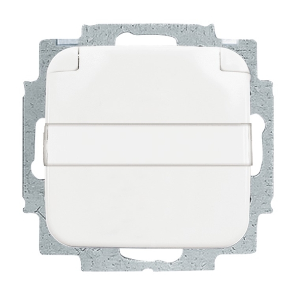 Busch-Jaeger 20 EUKNB-214 Schuko-Steckdose mit Klappdeckel und Beschriftungsfeld alpinweiß 2CKA002013A5318
