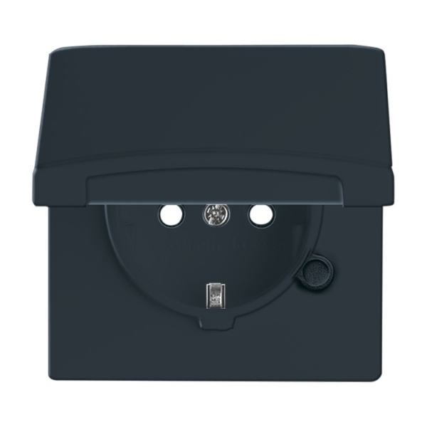 Busch-Jaeger 20 EUGKB-35-101 Schuko-Steckdose mit Klappdeckel anthrazit 2CKA002064A0295