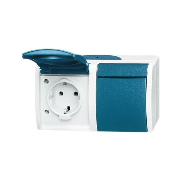 Busch-Jaeger 20/2 EW-53 Schuko Steckdose 2-fach grau/blaugrün 2CKA002084A0699