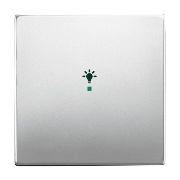 Busch-Jaeger 6231-10-866 Wippe 1-fach mit Symbol 'Licht' edelstahl 2CKA006220A0414