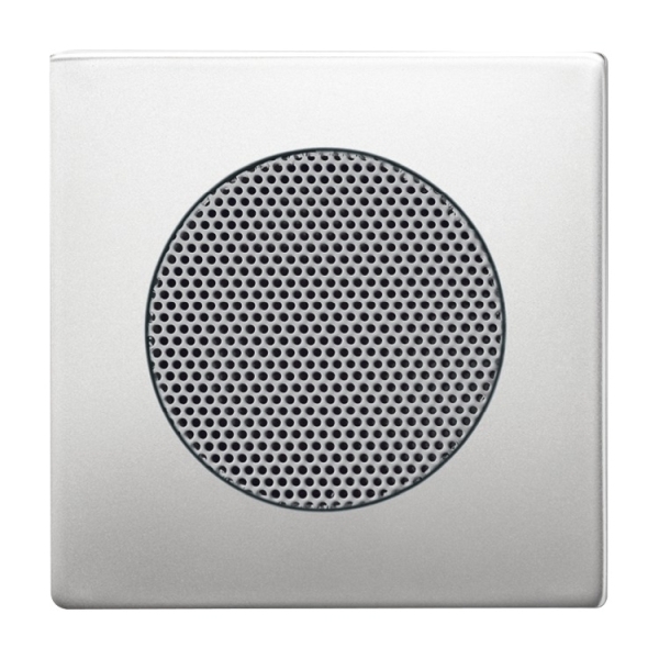 Busch-Jaeger 8253-866 Zentralscheibe edelstahl 2CKA008200A0087