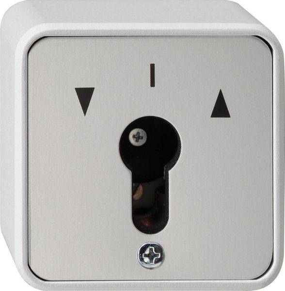 Gira 014430 Schlüsselschalter 2-p WG AP Grau
