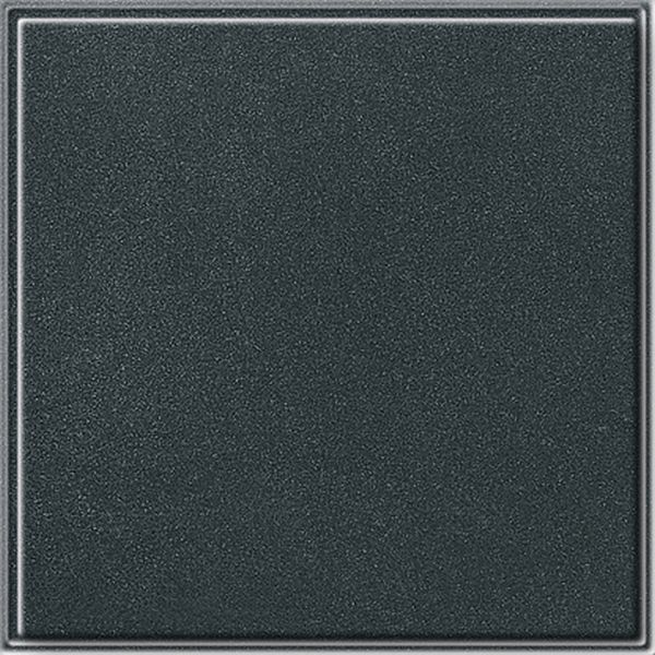 Gira 026867 Blindabd. Gira TX_44 (WG UP) Anthrazit