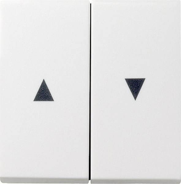 Gira 029403 Wippe 2-fach mit Pfeilsymbol Reinweiß glänzend