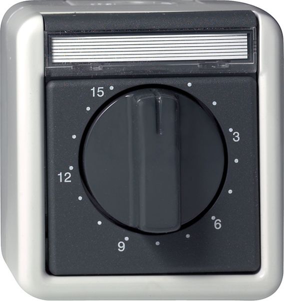 Gira 032030 Zeitsch. 2-p 15 min BSF WG AP Grau