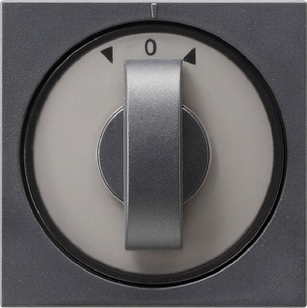 Gira 066628 Abd. Knebel Zeitsch. + Jalousie System 55 Anthrazit