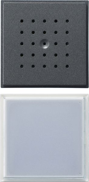 Gira 126067 Türstation 1f UP Gira TX_44 (WG UP) Anthrazit