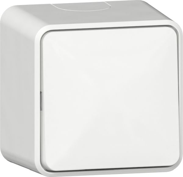 Gira 310613 Wippschalter AusWe + Montagepl. AP Reinweiß