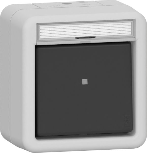 Gira 311630 Wipp-Kontroll AusWe BSF WG AP Grau