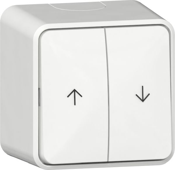Gira 315913 Wipp-Jal.schalter Pfeile + Montagepl. AP Reinweiß