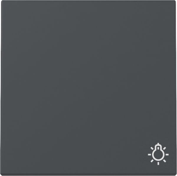 Gira 328528 Wippe Symb. Licht System 55 Anthrazit