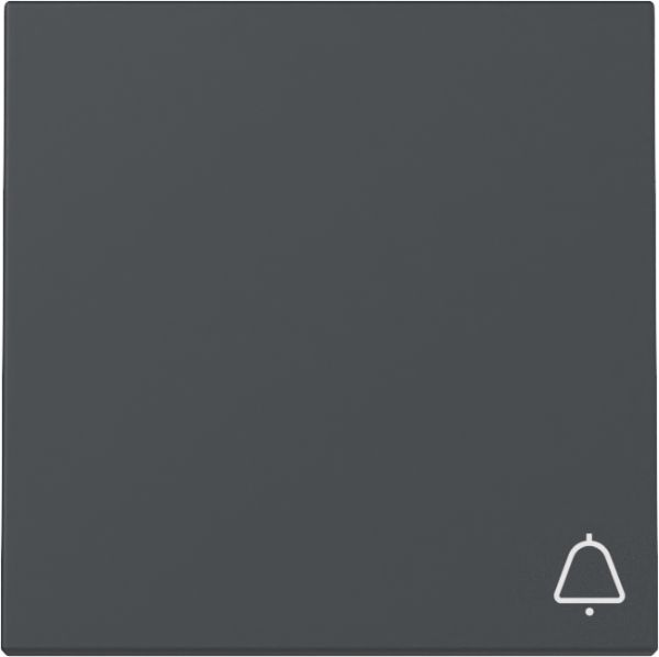 Gira 328628 Wippe Symb. Klingel System 55 Anthrazit