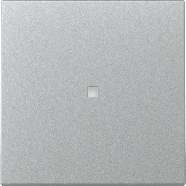 Gira 329026 Wippe Kontrollf. System 55 F Alu