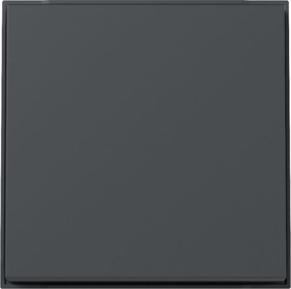 Gira 329667 Wippe Gira TX_44 (WG UP) Anthrazit