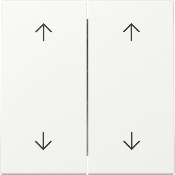 Gira 329727 Wippe 2f Pfeile System 55 Reinweiß m