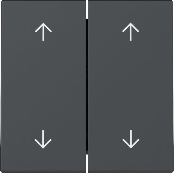 Gira 329728 Wippe 2f Pfeile System 55 Anthrazit